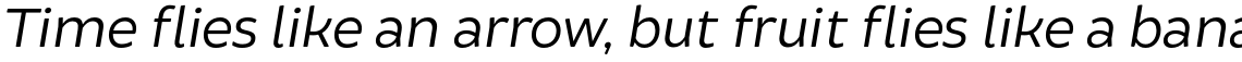 Brocha Alt Book Italic