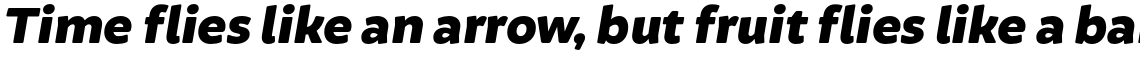 Brocha Alt Black Italic