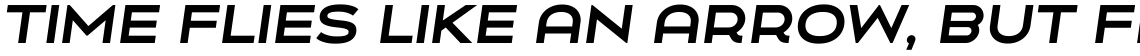 Uomo Expanded Bold Italic