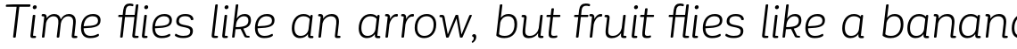 Corporative Soft Alt Book Italic