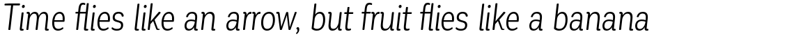 Corporative Soft Condensed Book Italic
