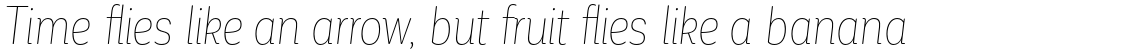 Corporative Soft Condensed Alt Hair Italic