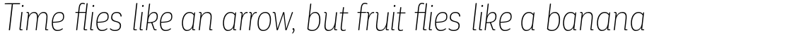 Corporative Soft Alt Condensed Thin Italic