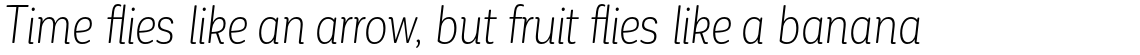 Corporative Soft Alt Condensed Light Italic
