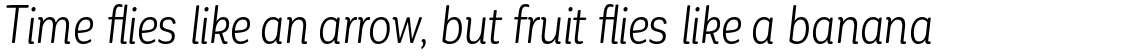 Corporative Soft Alt Condensed Book Italic