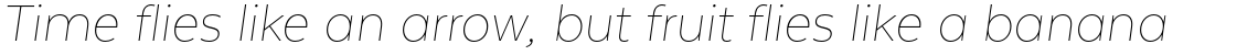 Texta Thin Italic