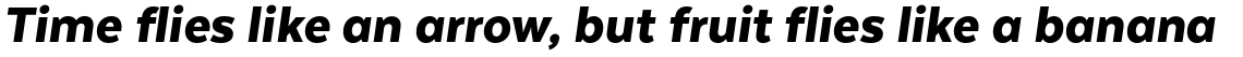 Texta Black Italic