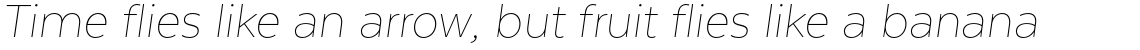 Texta Alt Thin Italic