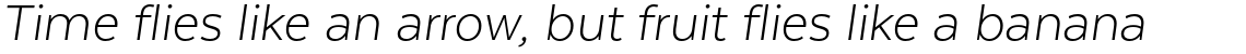 Texta Alt Light Italic