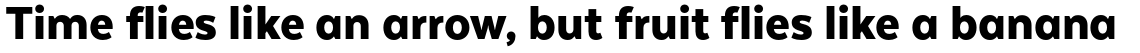 Texta Alt Black Italic