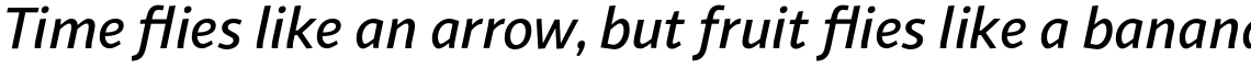 Sana Sans Medium Italic