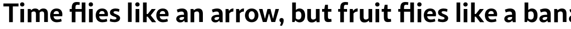 Sana Sans Bold