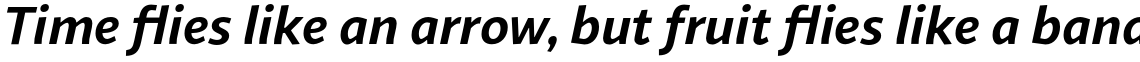 Sana Sans Bold Italic