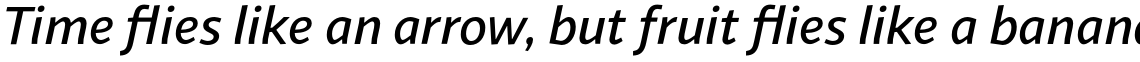 Sana Sans Alt Medium Italic