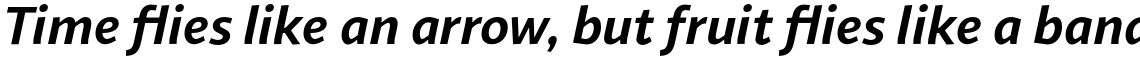 Sana Sans Alt Bold Italic