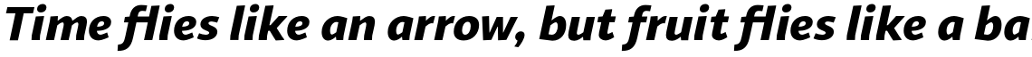 Sana Sans Alt Black Italic