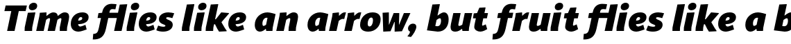 Sana Sans Alt Heavy Italic