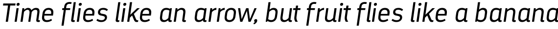 Darwin Alt Office italic