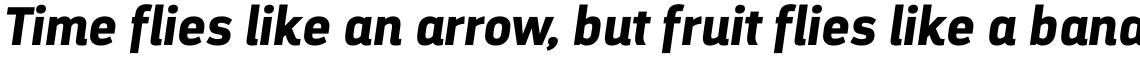 Darwin Alt Office Bold Italic