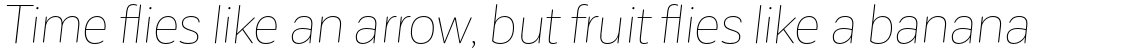 Corporative Sans Rounded Hair Italic