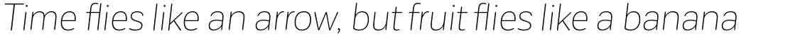 Corporative Sans Rounded Thin Italic