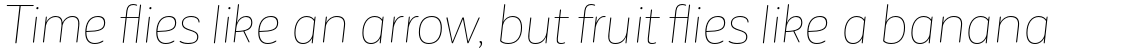Corporative Sans Rounded Alt Hair Italic