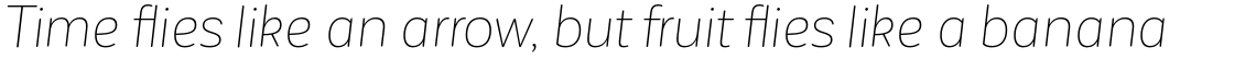 Corporative Sans Rounded Alt Thin Italic