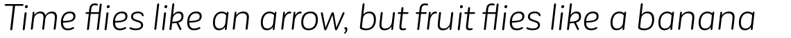 Corporative Sans Rounded Alt Book italic