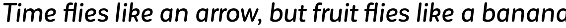 Corporative Sans Rounded Alt Medium Italic
