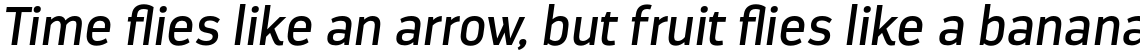 Darwin Regular Italic