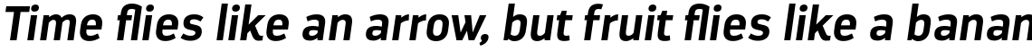 Darwin Bold Italic