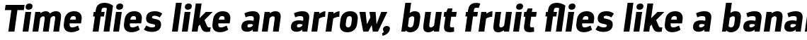 Darwin Black Italic