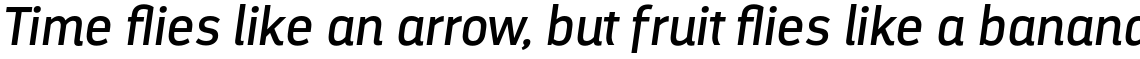 Darwin Alt Regular Italic