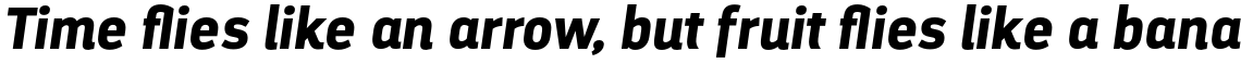 Darwin Alt Black Italic