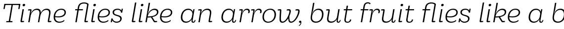 Hernandez Niu Light Italic