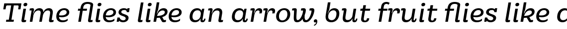 Hernandez Niu Italic