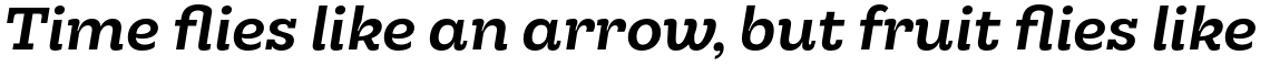 Hernandez Niu Bold Italic