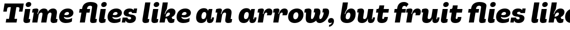 Hernandez Niu Ultra Bold Italic