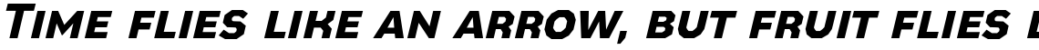 Bowie Bold Italic