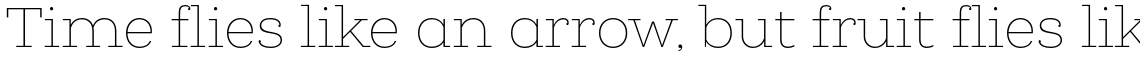 Queulat Thin