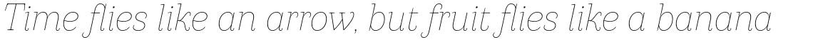 Camila Thin Italic