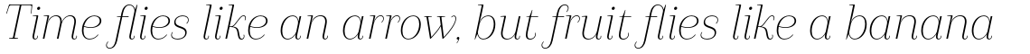 Camila Light Italic