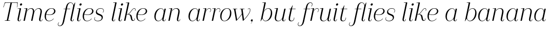 Camila Regular Italic