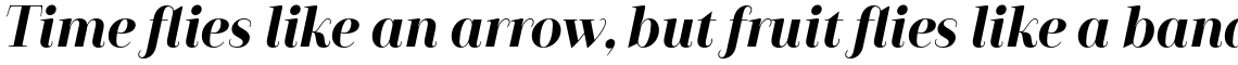 Camila Bold Italic