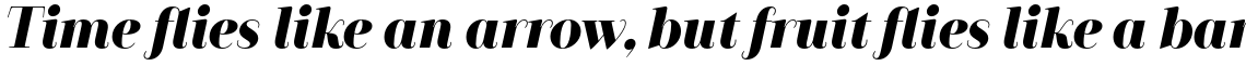 Camila Black Italic