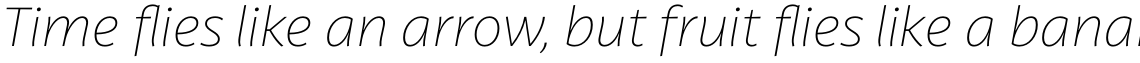 Latina Thin Italic