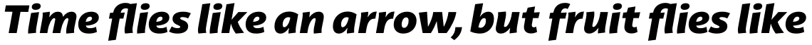 Latina Black Italic