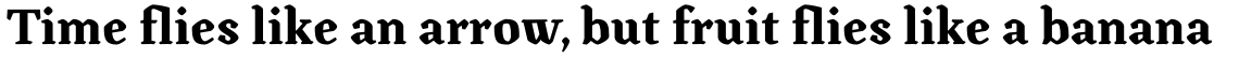 Canilari Standard Bold