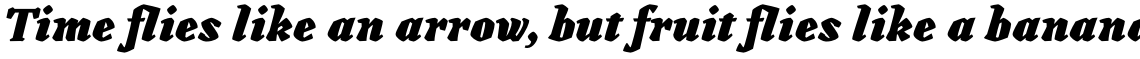 Canilari Standard Heavy Italic