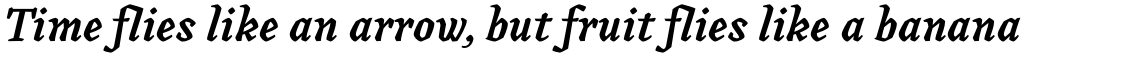 Canilari Pro Medium Italic